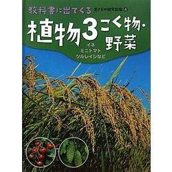 植物〈3〉こく物・野菜―イネ・ミニトマト・ツルレイシなど(教科書に出てくる生きもの観察図鑑〈4〉) [図鑑]