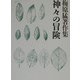 梅原猛著作集〈18〉神々の冒険 [全集叢書]