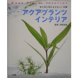 アクアプランツインテリア―ゆらゆらゆれるかわいい水草 [単行本]