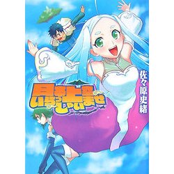 日本上空いらっしゃいませ(HJ文庫) [文庫]