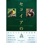 セコイアの森―カリフォルニアの大自然 [単行本]