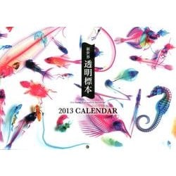 新世界透明標本CALENDAR 2013 [カレンダー]