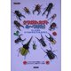 クワガタとカブトみーつけた!―だいすきなクワガタやカブトをさがそう(KANZENクワガタ&カブトシリーズ) [単行本]