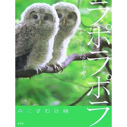 ラポラポラ―森にすむ妖精(そうえんしゃ・写真のえほん〈1〉) [絵本]