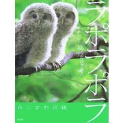 ラポラポラ―森にすむ妖精(そうえんしゃ・写真のえほん〈1〉) [絵本]