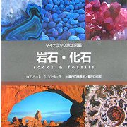 岩石・化石(ダイナミック地球図鑑) [図鑑]