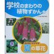 学校のまわりの植物ずかん〈2〉花の色でさがせる夏の草花 [単行本]