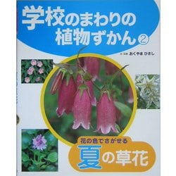 学校のまわりの植物ずかん〈2〉花の色でさがせる夏の草花 [単行本]