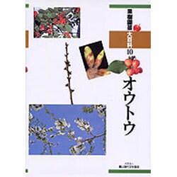 オウトウ（果樹園芸大百科 10） [全集叢書]