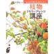 枝物フラワーアレンジ講座―ひと枝で変わる花あしらい [単行本]
