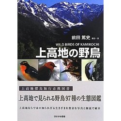 上高地の野鳥 [図鑑]