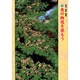 新・奥の細道を読もう [全集叢書]