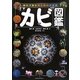 カビ図鑑―野外で探す微生物の不思議 [図鑑]