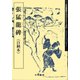 張猛龍碑(魏晋南北朝の書〈8〉) [単行本]