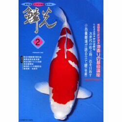 鱗光 2000 2 [単行本]