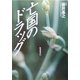亡国のドラッグ [単行本]