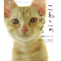 こねこのいのち―忘れられない冬の日の思い出 [単行本]