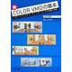 新COLOR VMDの基本―カラービジュアルマーチャンダイジングの知識と技術 [単行本]