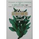 存在の探求〈上巻〉 新装版 (全集 現代文学の発見〈第7巻〉) [全集叢書]