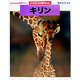 どうぶつの赤ちゃん キリン(ちがいがわかる写真絵本シリーズ) [全集叢書]