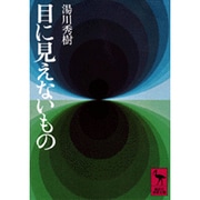 目に見えないもの(講談社学術文庫) [文庫]
