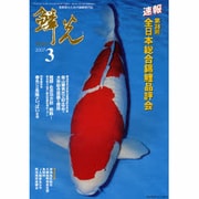 鱗光 2007年3月号 [単行本]