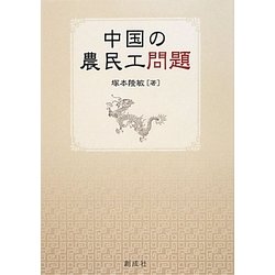 中国の農民工問題 [単行本]
