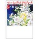 ツーリング・エクスプレス 第6巻（白泉社文庫 か 2-11） [文庫]
