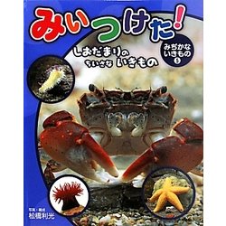 みいつけた!みぢかないきもの〈5〉しおだまりのちいさないきもの [単行本]