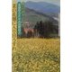 菜の花畑に入り日うすれ―童謡詩人としての高野辰之 [全集叢書]