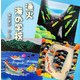 漁火 海の学校 [絵本]