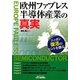 欧州ファブレス半導体産業の真実―ニッポン復活のヒントを探る!(B&Tブックス) [単行本]