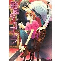 箱庭のシンデレラ(幻冬舎ルチル文庫) [文庫]