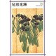 尾形光琳(新潮日本美術文庫) [全集叢書]