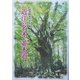 近江の名木・並木道(別冊淡海文庫) [単行本]