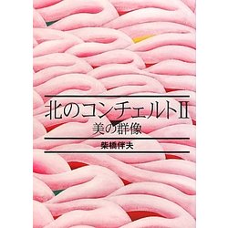 北のコンチェルト〈2〉美の群像 [単行本]
