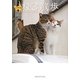 文庫版ねこ散歩(メディアックスねこ文庫) [文庫]
