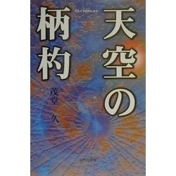 天空の柄杓 [単行本]