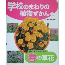 学校のまわりの植物ずかん〈1〉花の色でさがせる春の草花 [単行本]
