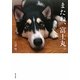 またね、富士丸。 [単行本]