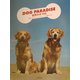 DOG PARADISE―世界の犬100 [単行本]