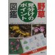 野草 見分けのポイント図鑑 [単行本]