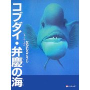 コブダイ・弁慶の海(そうえん社・写真のえほん〈2〉) [絵本]