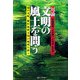 対論 文明の風土を問う―泥の文明・稲作漁撈文明が地球を救う [単行本]