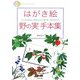 はがき絵 野の実手本集―手工芸の図案にも応用できる77種・原寸下絵38点付き(日貿アートライフシリーズ) [単行本]