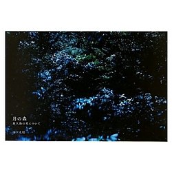 月の森―屋久島の光について [単行本]