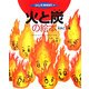 火と炭の絵本 火おこし編(つくってあそぼう〈19〉) [絵本]