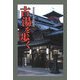 温泉教授・松田忠徳の古湯を歩く [単行本]