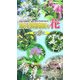 軽井沢町植物園の花〈第2集〉 [図鑑]