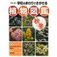 ハンディ版 学校のまわりでさがせる植物図鑑 秋冬 [図鑑]